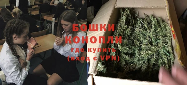 прущие крисы Белокуриха